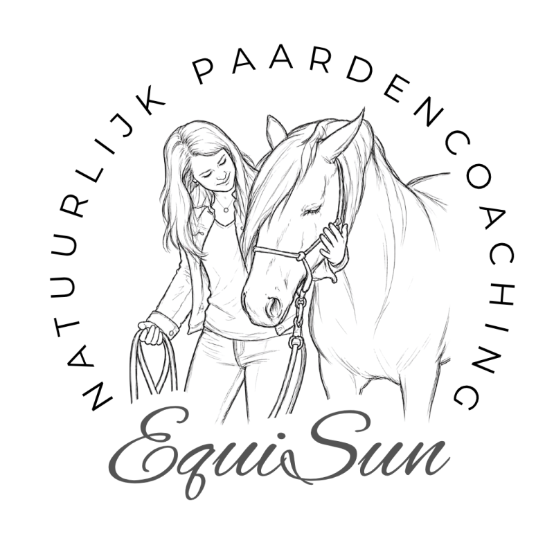 EquiSun paardencoaching in Salland